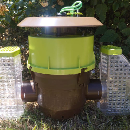Pièges Frelons à pattes jaunes